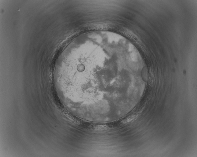 X0000067370355200604281756