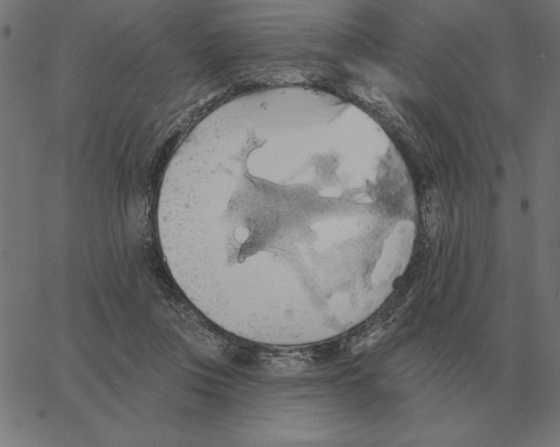 X0000067370359200604281756