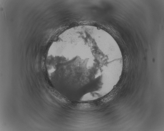 X0000067370361200604281756
