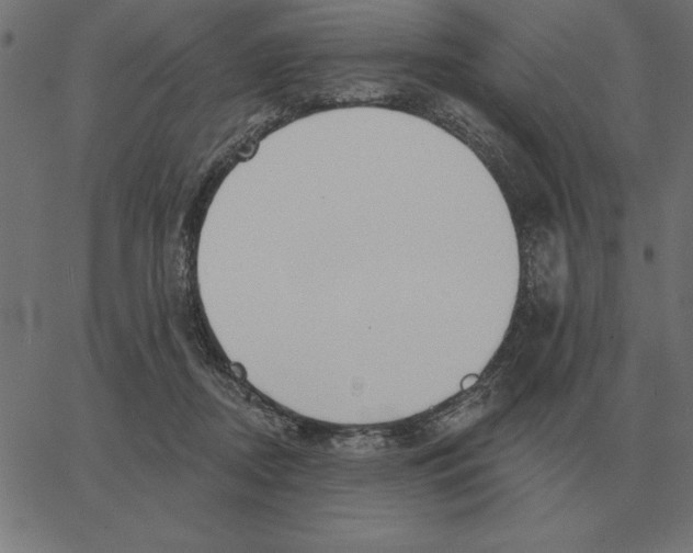 X0000067370362200604281756