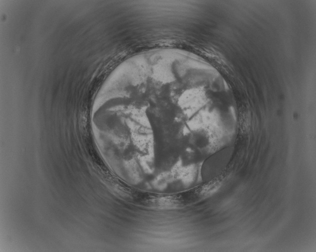 X0000067370365200604281756