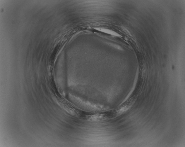 X0000067370366200604281756