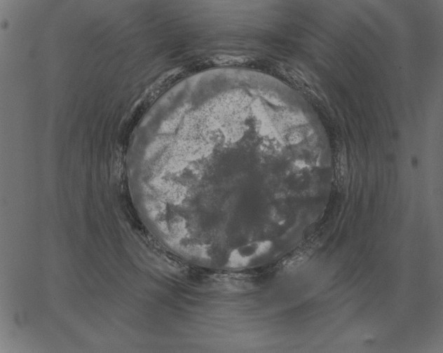 X0000067370367200604281756