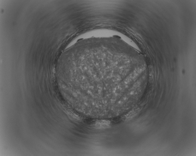 X0000067370369200604281756