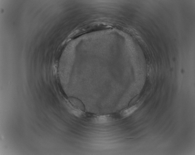 X0000067370382200604281757
