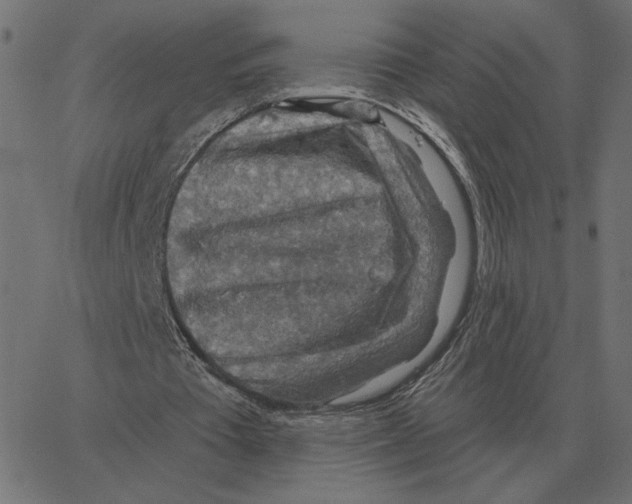 X0000067370385200604281756