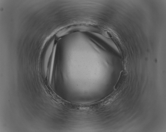 X0000067370388200604281756