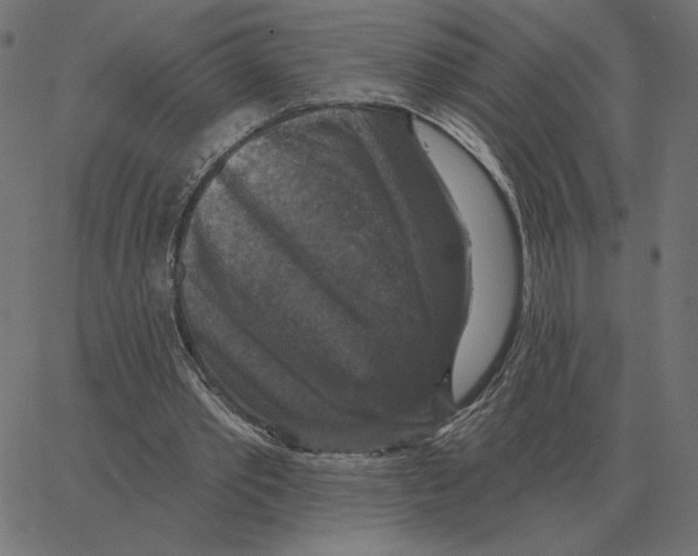 X0000067370389200604281756