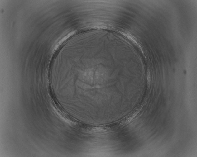 X0000067370390200604281756