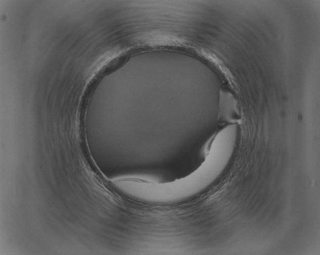 X0000067370391200604281756