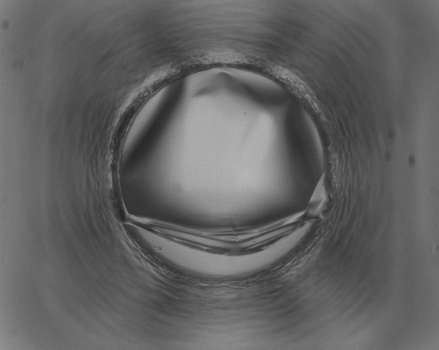 X0000067370395200604281756