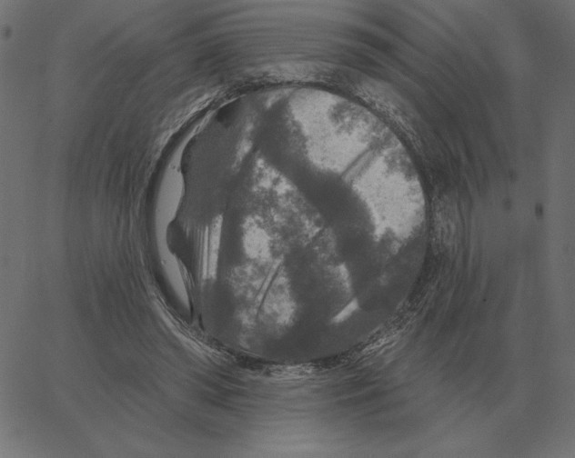 X0000067370398200604281756