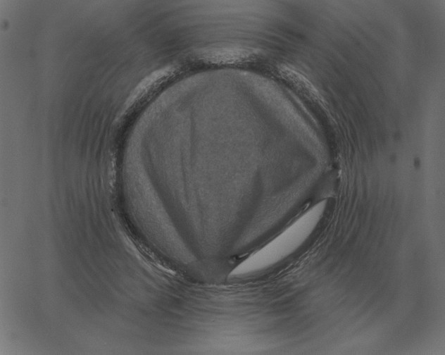 X0000067370400200604281756