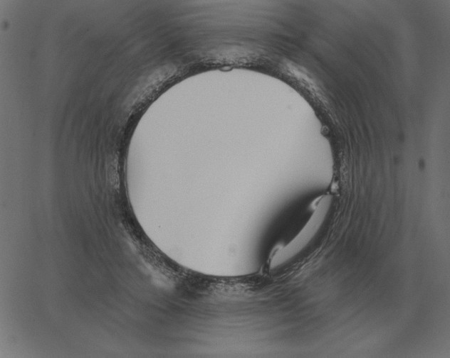 X0000067370403200604281756