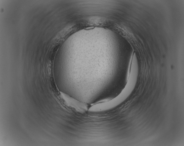 X0000067370413200604281755