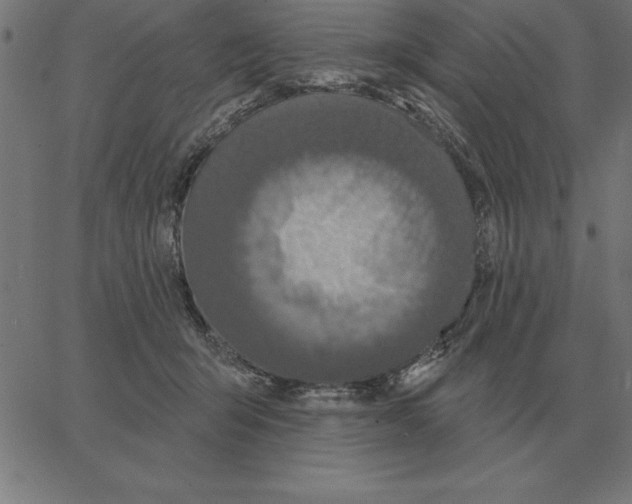 X0000067370415200604281755