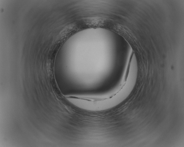 X0000067370416200604281755