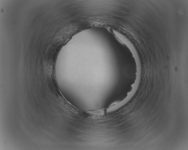 X0000067370417200604281755