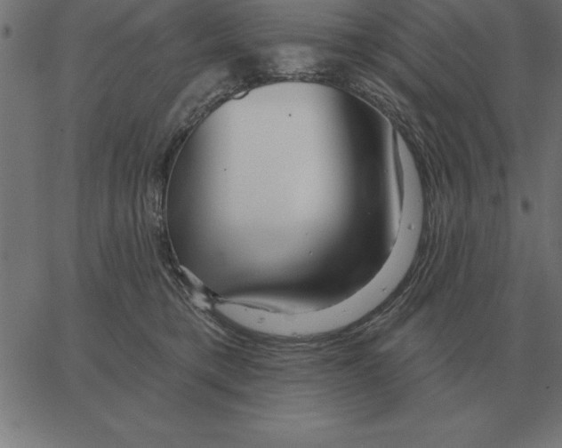 X0000067370421200604281755