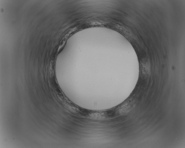 X0000067370422200604281755