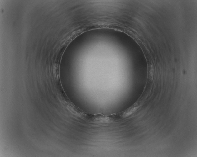 X0000067370428200604281755
