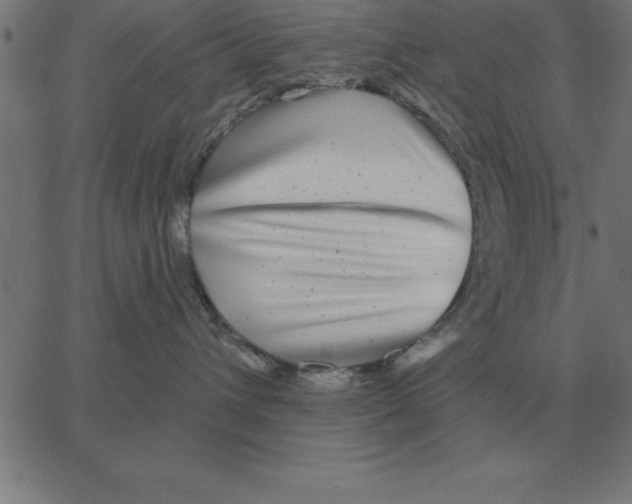 X0000067370432200604281755