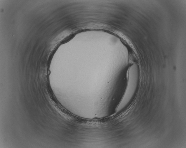 X0000067370437200604281754