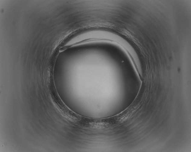 X0000067370448200604281755