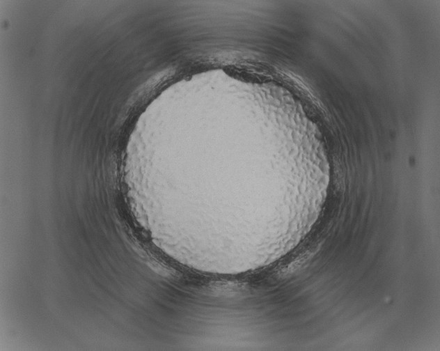 X0000067370453200604281755