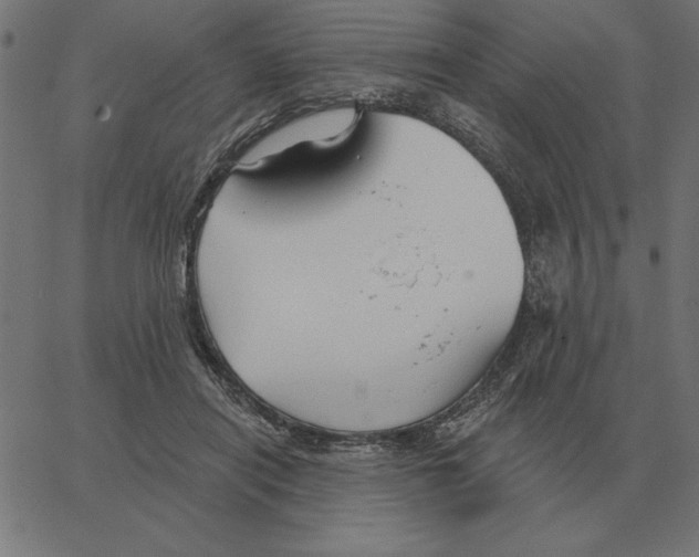 X0000067370454200604281755