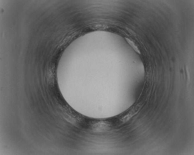 X0000067370460200604281755