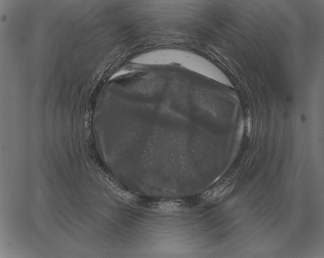 X0000067370462200604281755