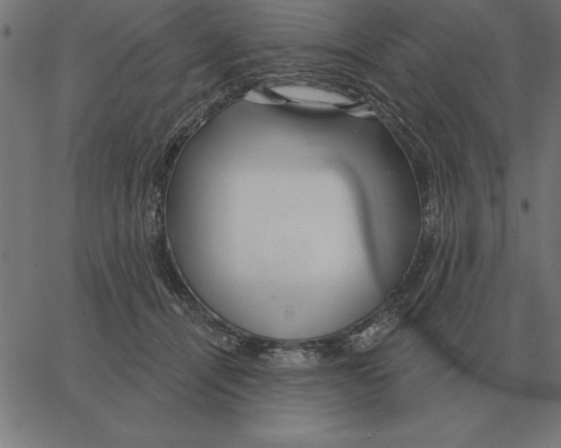 X0000067370464200604281755