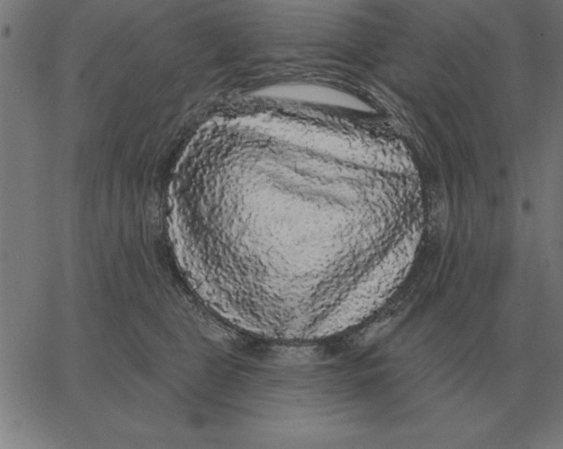X0000067370469200604281755