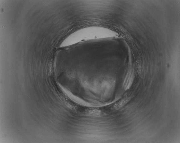 X0000067370471200604281755