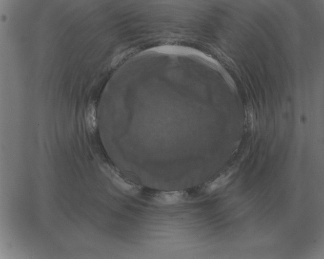 X0000067370479200604281755