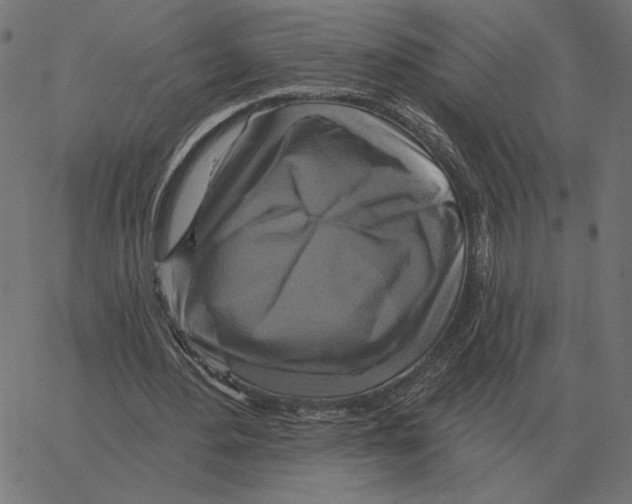 X0000067370484200604281754