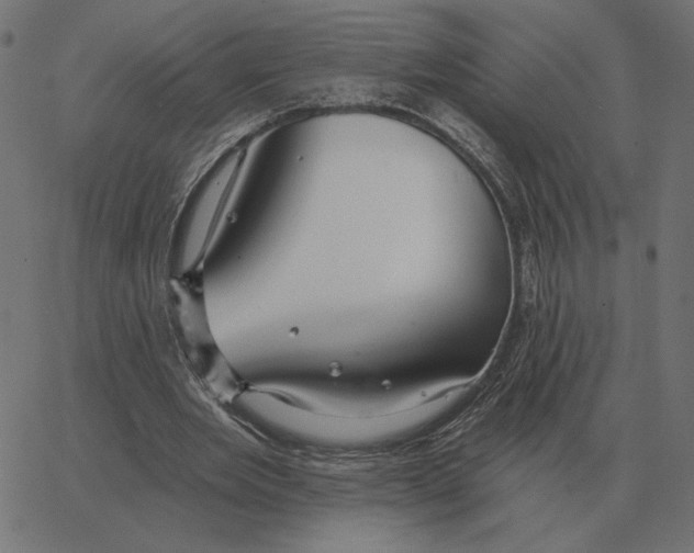 X0000067370485200604281754