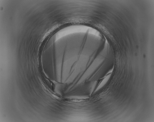 X0000067370488200604281754
