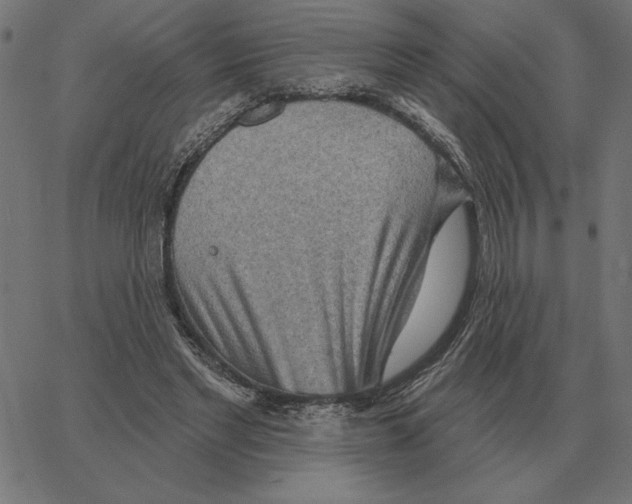 X0000067370493200604281754