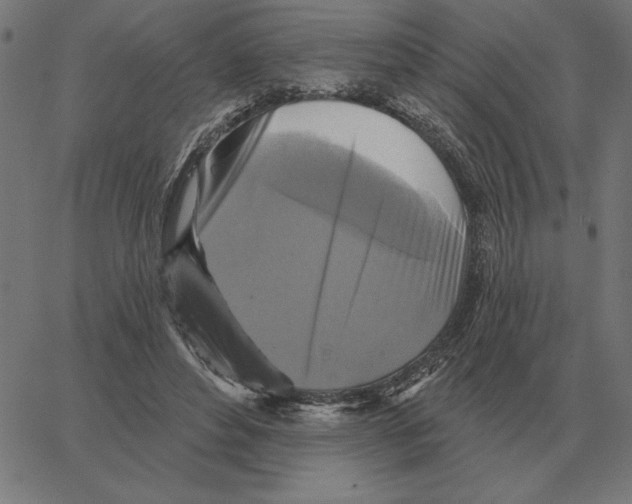 X0000067370496200604281754