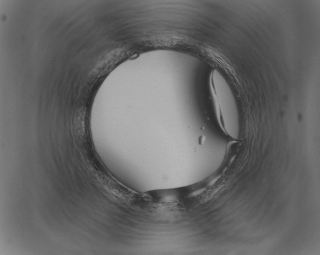 X0000067370501200604281754