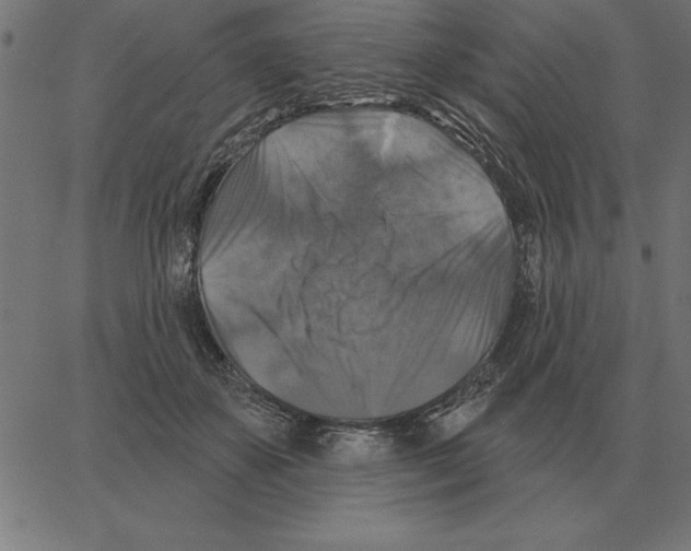 X0000067370507200604281754