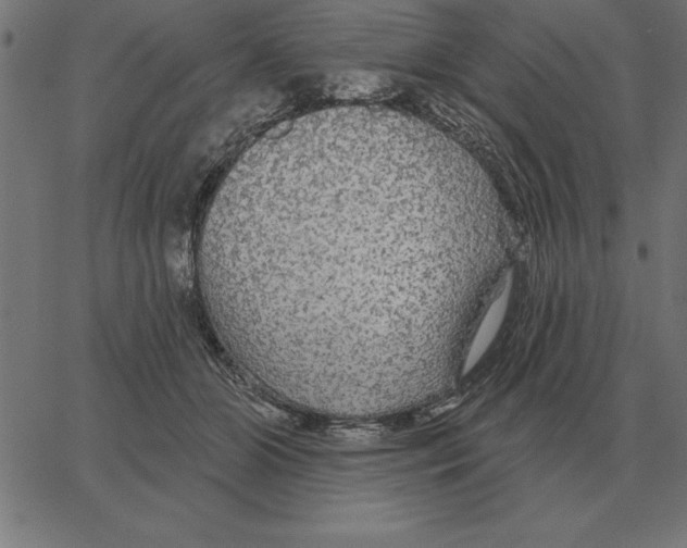 X0000067370510200604281754