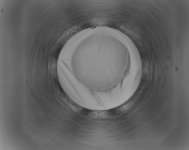 X0000067370526200604281754