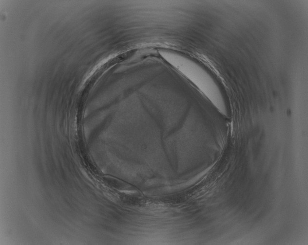X0000067370531200604281753