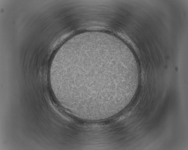 X0000067370533200604281753