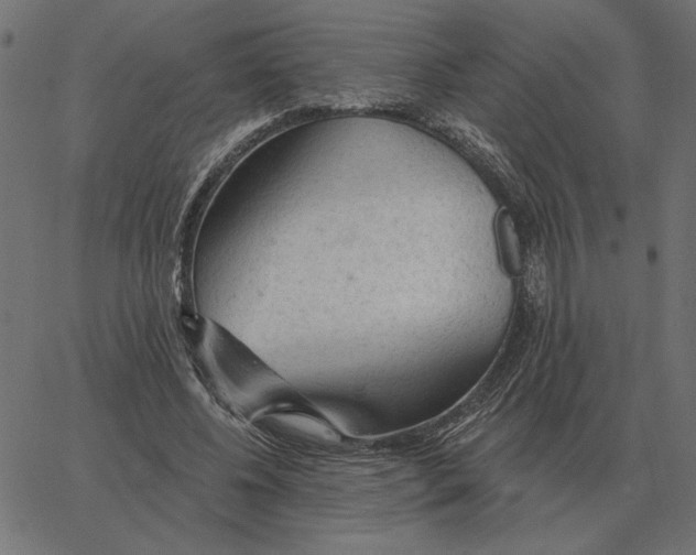 X0000067370540200604281753