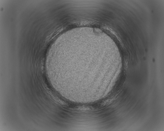 X0000067370545200604281753