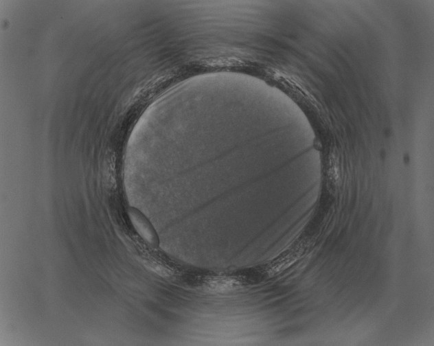 X0000067370547200604281753